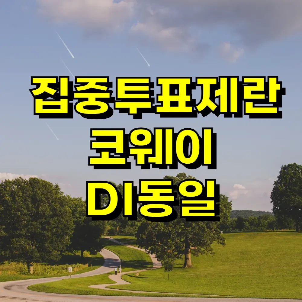 집중투표제란 코웨이 DI동일
