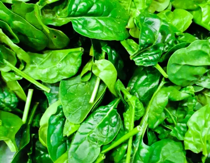 공복혈당 낮추기