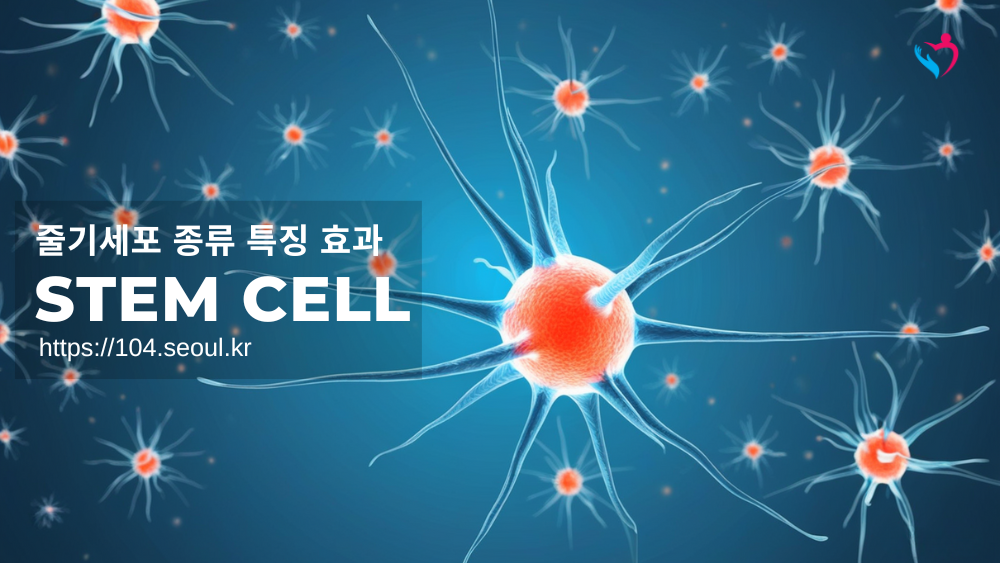 줄기세포 종류 특징 효과