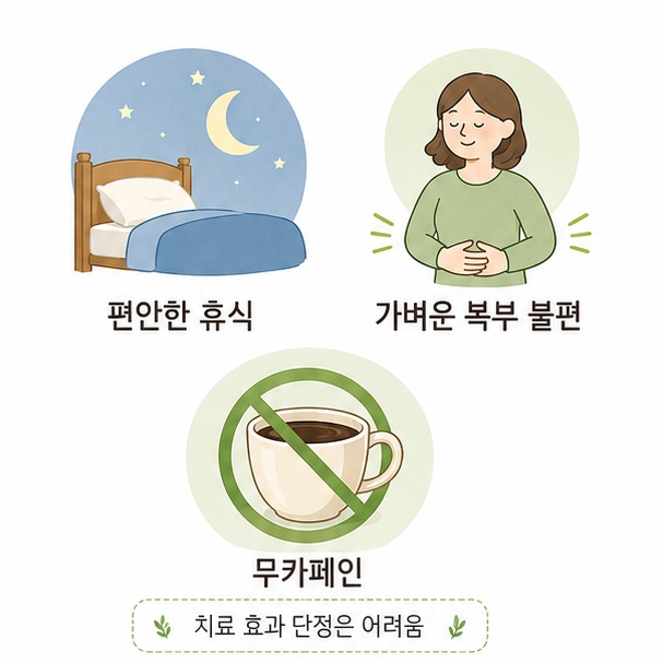 편안한 휴식, 가벼운 복부 불편, 무카페인 특징을 정리한 카모마일 차 정보