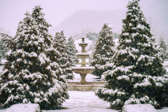 알펜시아리조트