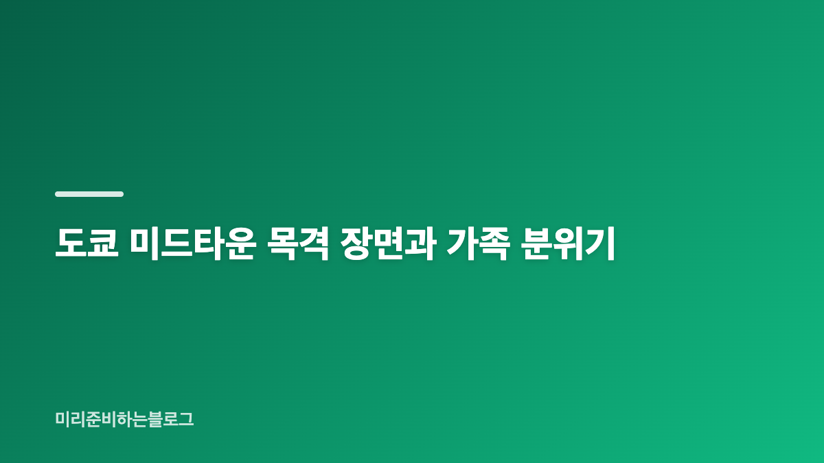 현빈 손예진 도쿄 여행에서 전해진 가족 나들이