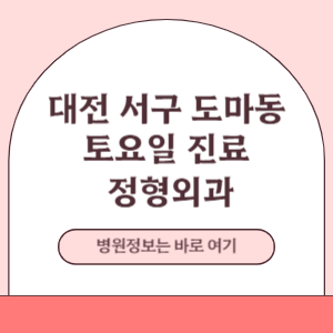 대전 서구 도마동 토요일 정형외과 진료 병원