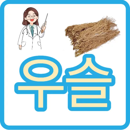 우슬뿌리 효능 먹는법 우슬나무 우슬차 우슬뿌리즙 분말 부작용