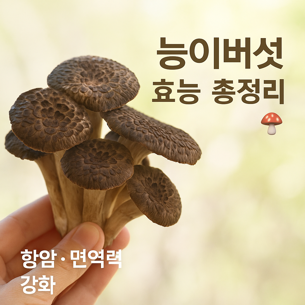 능이버섯 효능 총정리