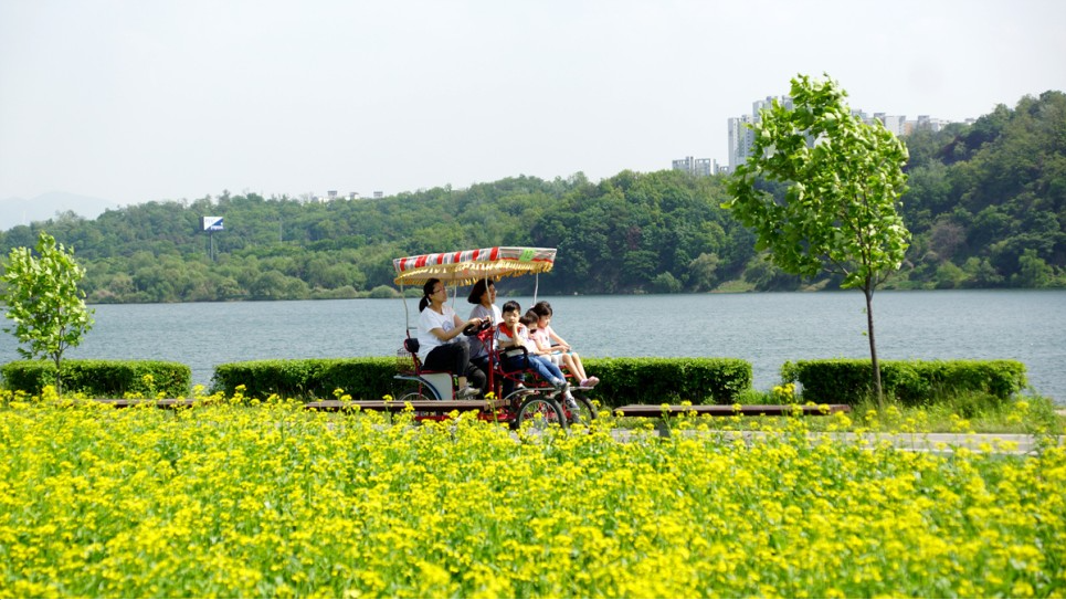 2023.유채꽃 한강예술제.2023년.입장료.가는길.주차장.일정.총정리