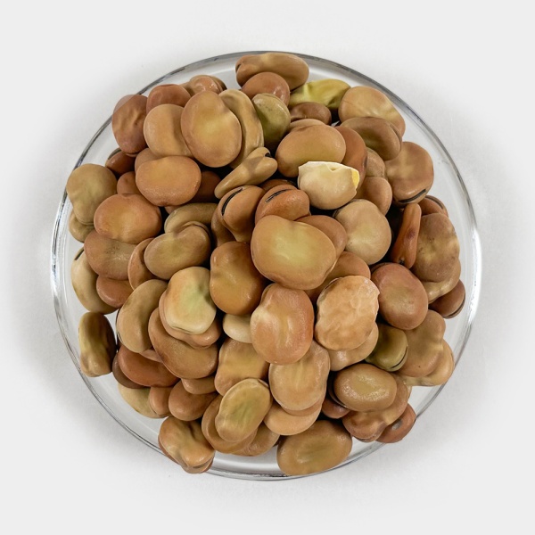 당뇨에 좋은 음식 - 파바빈 사진