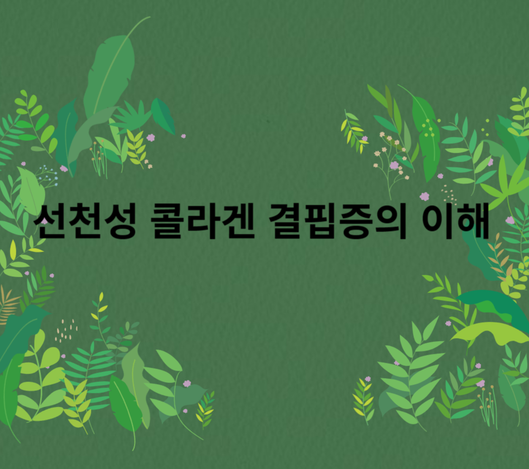 선천성 콜라겐 결핍증의 이해 문구 썸네일