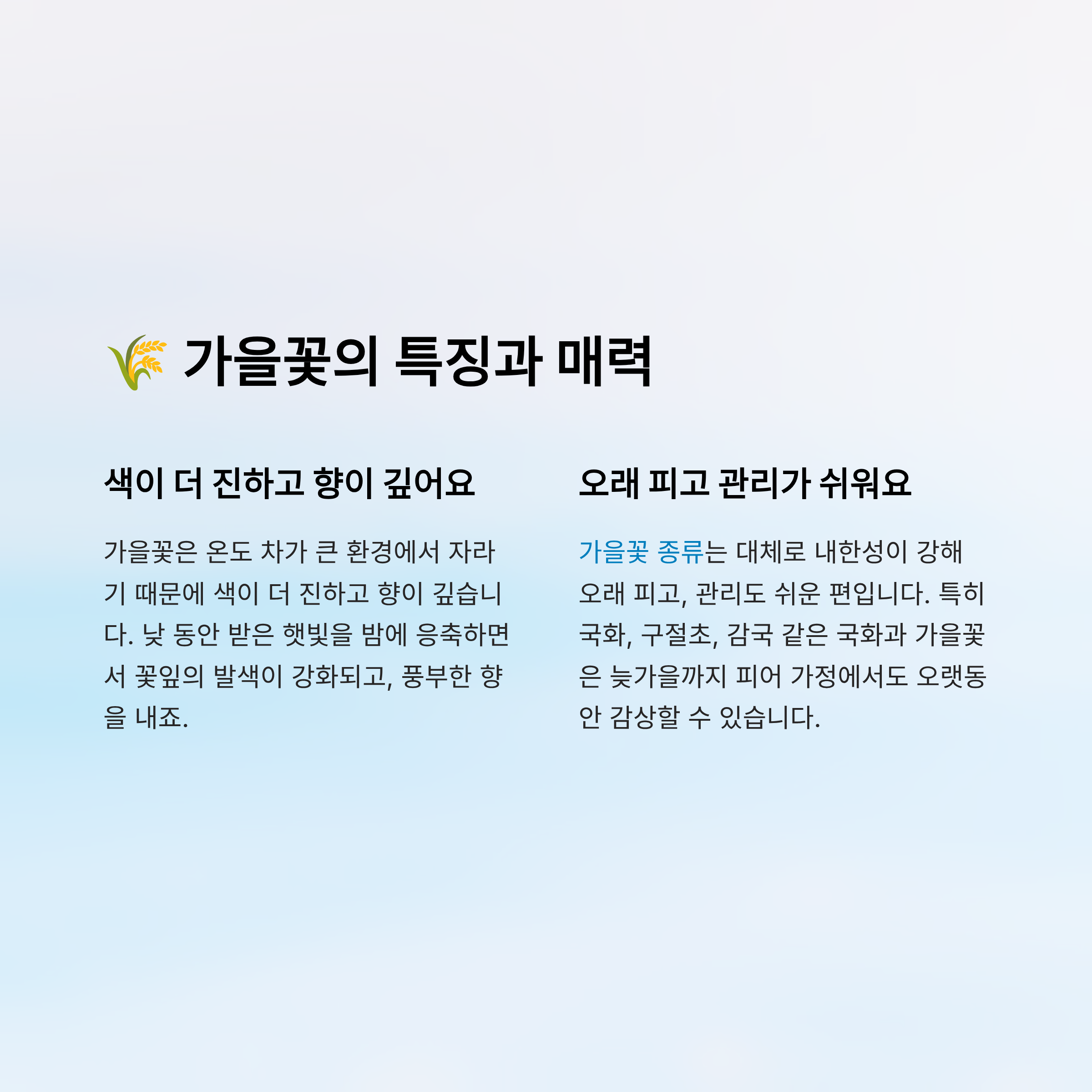 가을꽃 종류 알아보기
