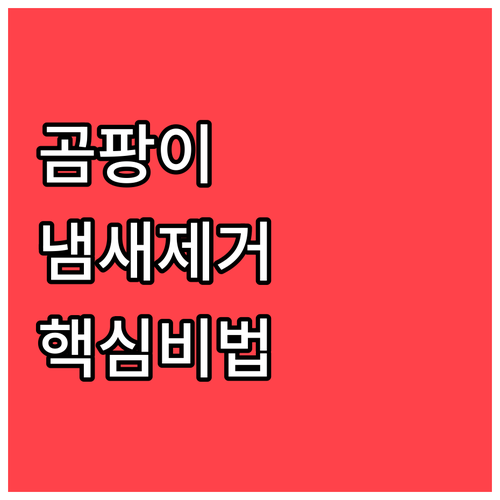 세탁기 곰팡이 예방하고 빨래 냄새 제..