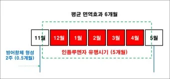독감 유행 시기 실내 환기 손소독 외출 복장 안내_2