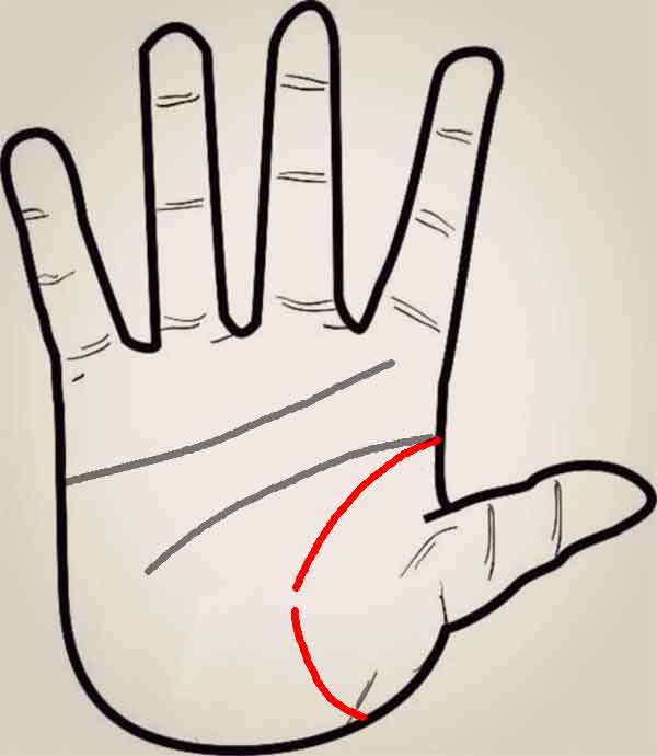 생명선 끊어진 손금