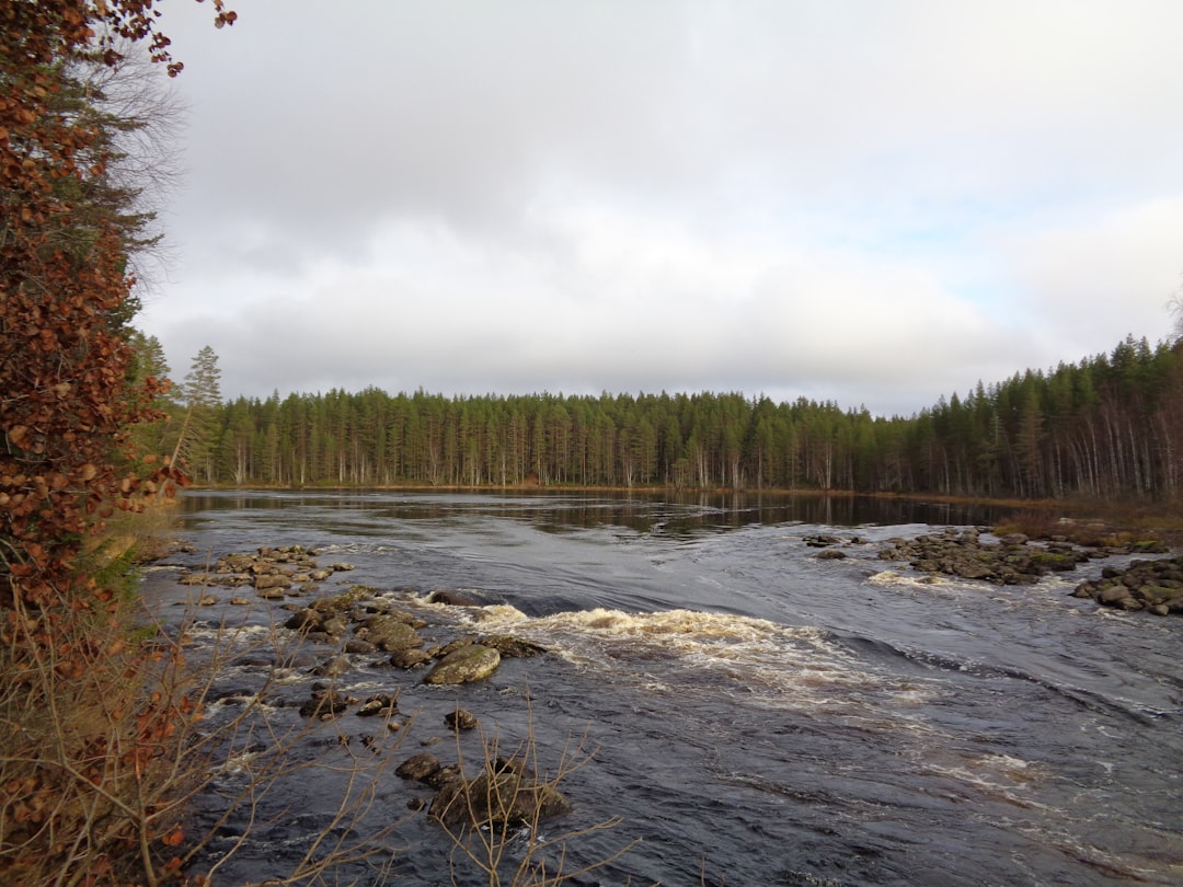 Forestry
