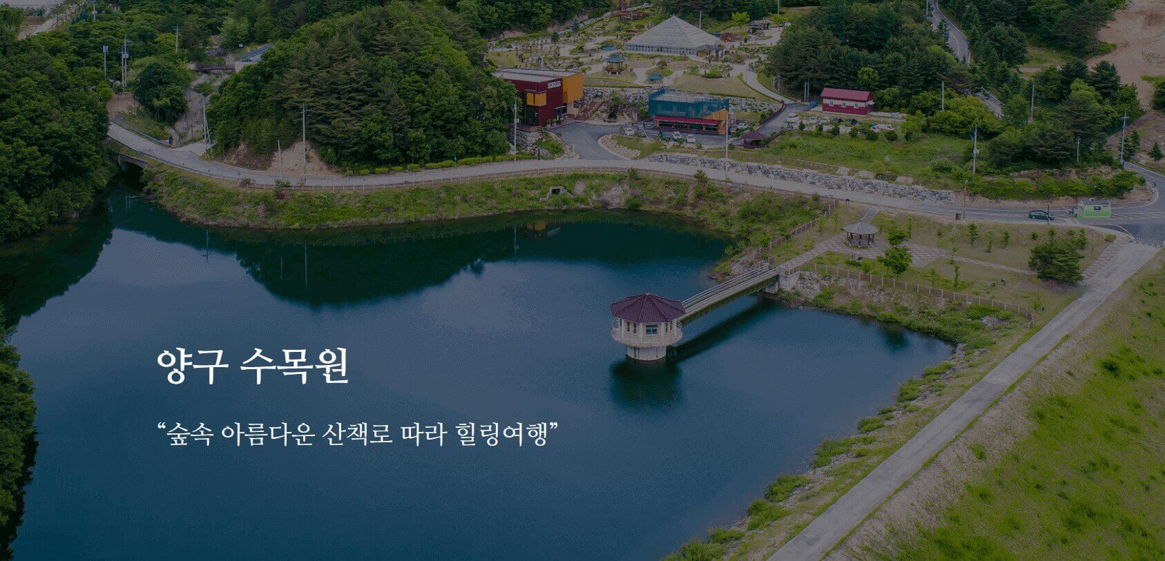 양구 수목원 사진