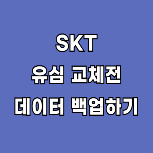 SKT 유심교체 전 데이터 백업하기