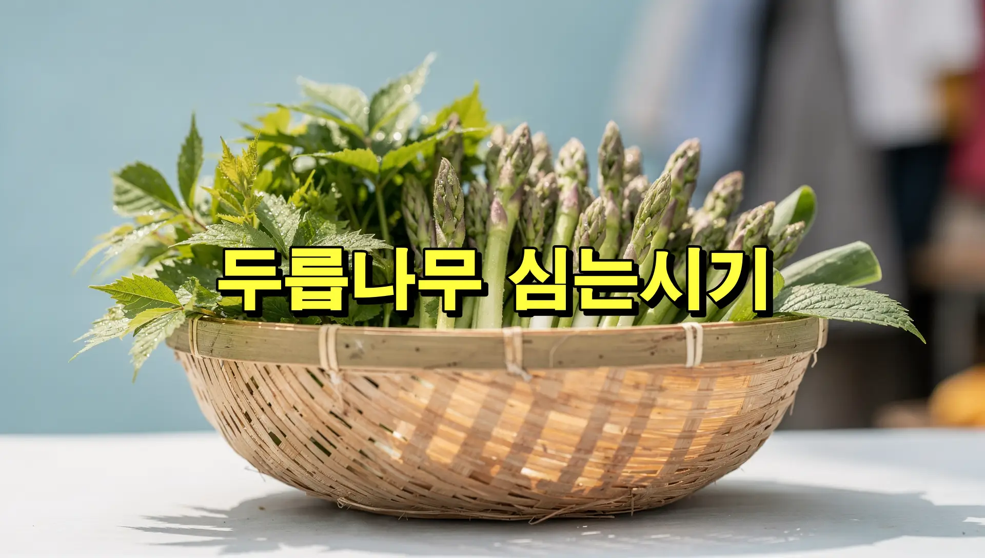 두릅나무 심는시기