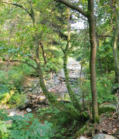 서울대공원 캠핑장 예약