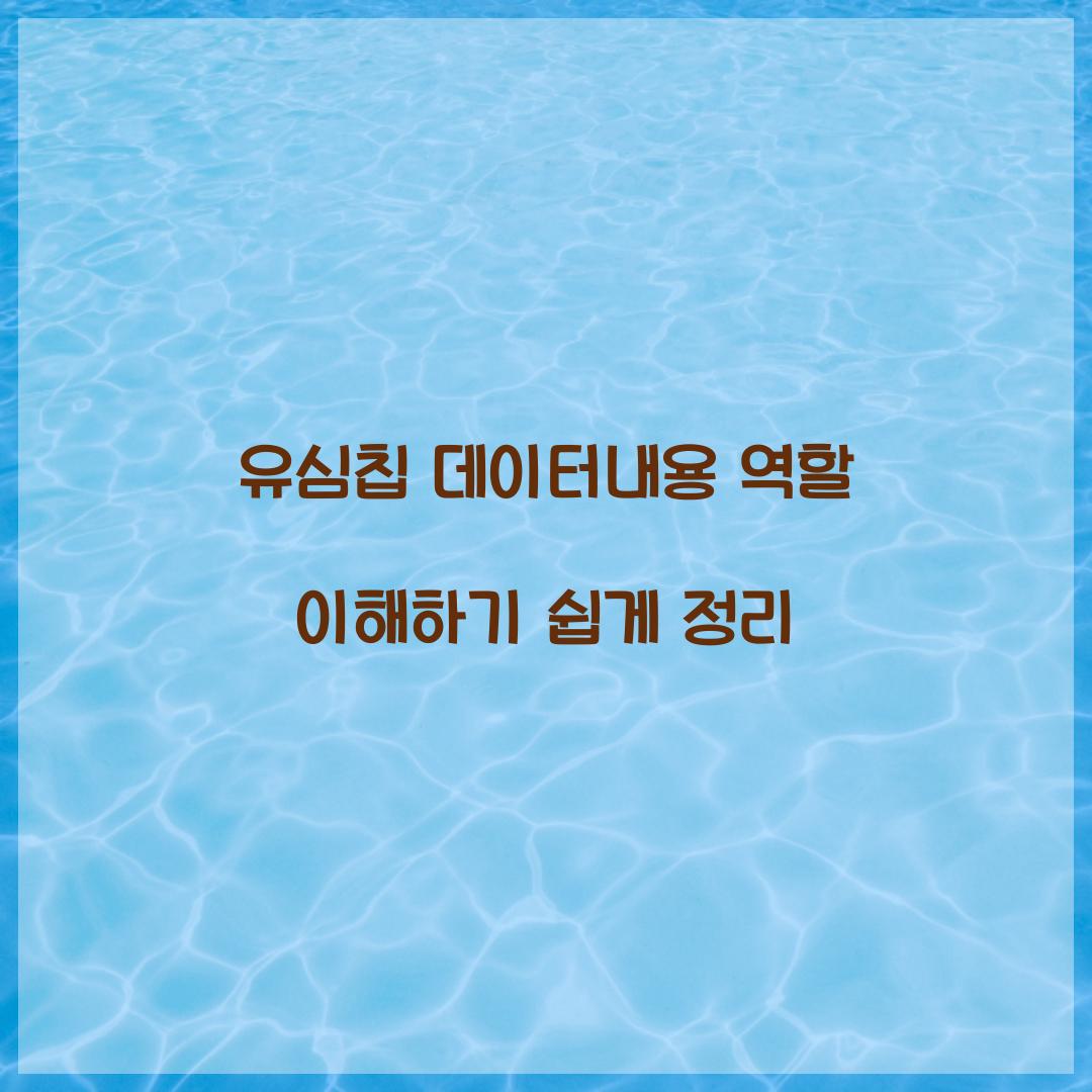 유심칩 데이터내용 역할