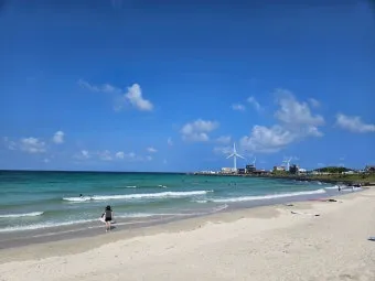 제주 월정리 해변 감성 여행지 카페 거리 소개_15