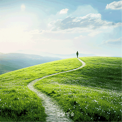 들판에 있는 오솔길을 천천히 걷는 사람과 햇살 속 들꽃 풍경