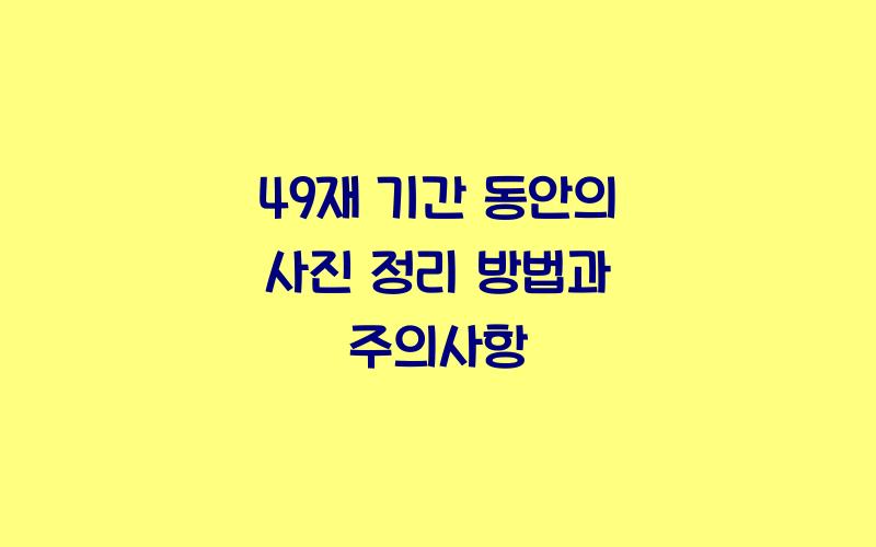 49재 기간 동안의 사진 정리