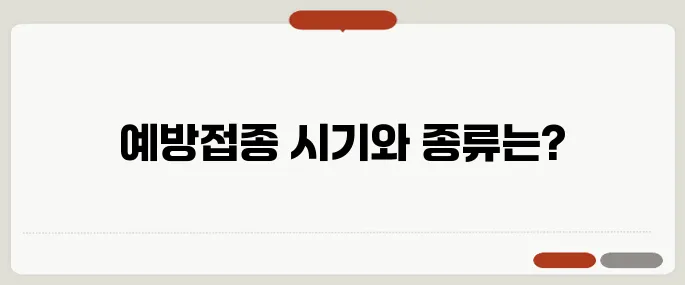 폐렴 예방접종 시기와 종류 안내 60세 이상 꼭 보세요
