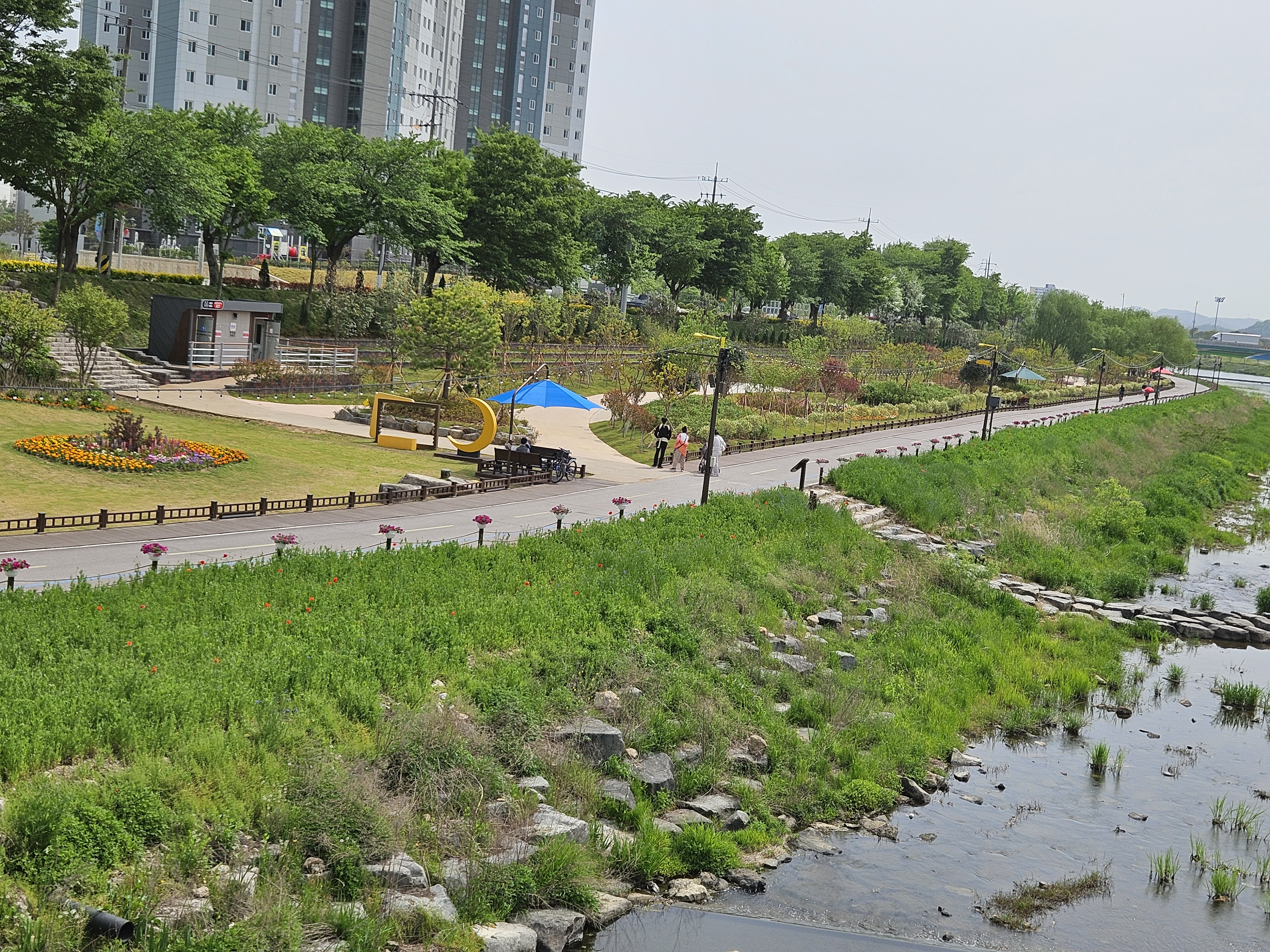 가족 봄소풍 명소! 황룡강 꽃잔치, 다채로운 이벤트 만끽!