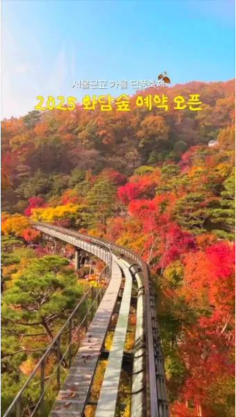 화담숲 단풍 절정시기 예약 방법까지 정리_16