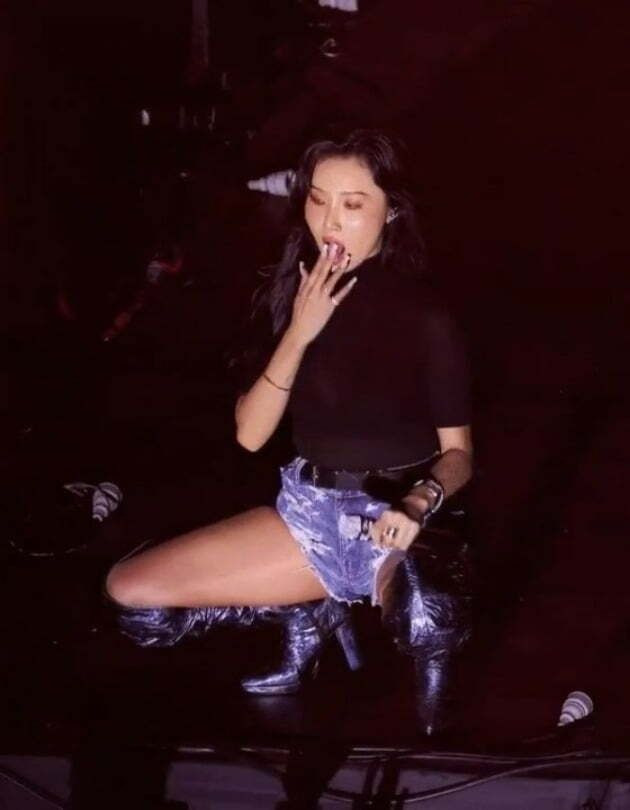 화사 성균관대 논란