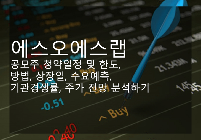 에스오에스랩 공모주 청약일정 및 한도, 방법, 상장일, 수요예측, 기관경쟁률, 주가 전망 분석하기
