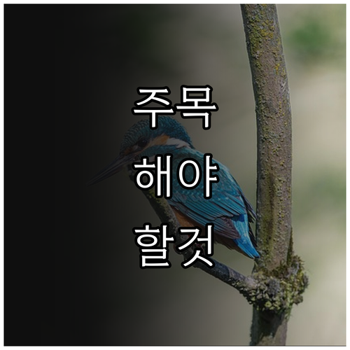 강화군 효행수당 2025 월 10만원..