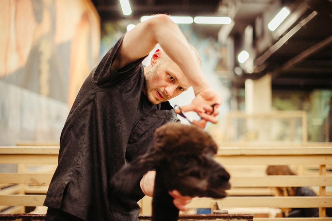 Dog grooming