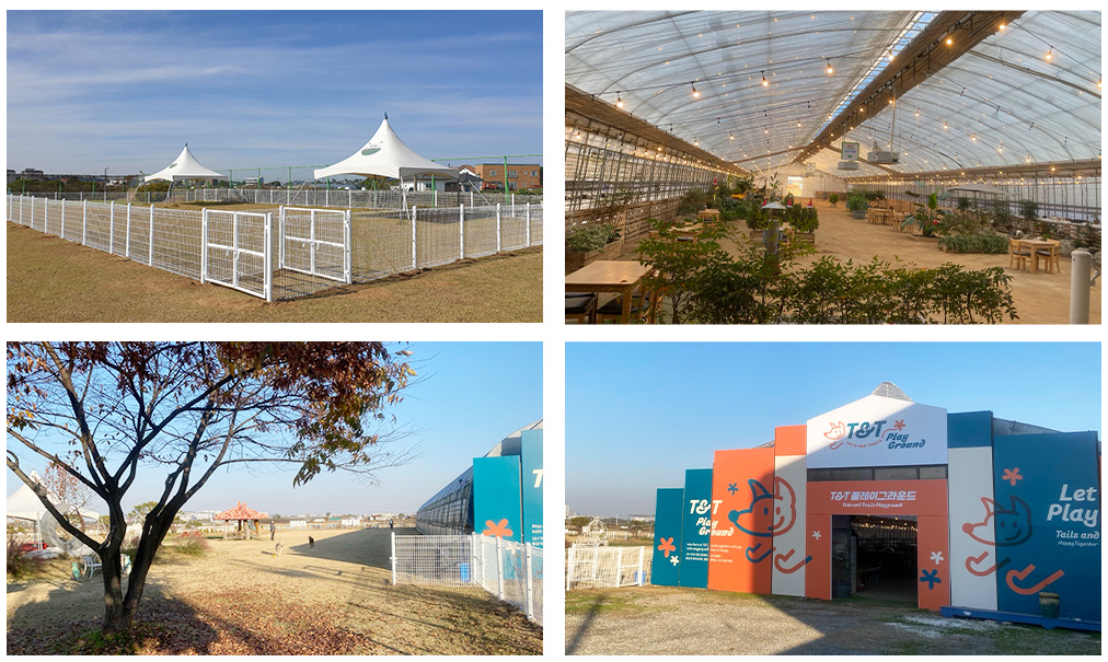 생방송투데이 쌀겨 효소 발효 찜질 반려견 힐링체험 초록미소마을 정보