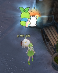 새해 복 많이 받자에요!