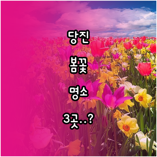충남 당진 봄철 가볼만한곳 명소 3곳..