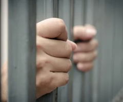 금고형이란? 뜻 알아보기