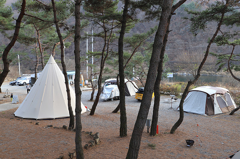 춘천 황금박쥐캠핑장 소개