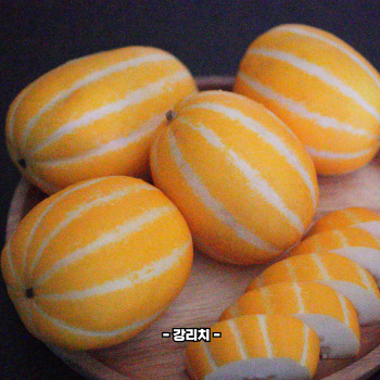 참외껍질 음식물쓰레기 인가요