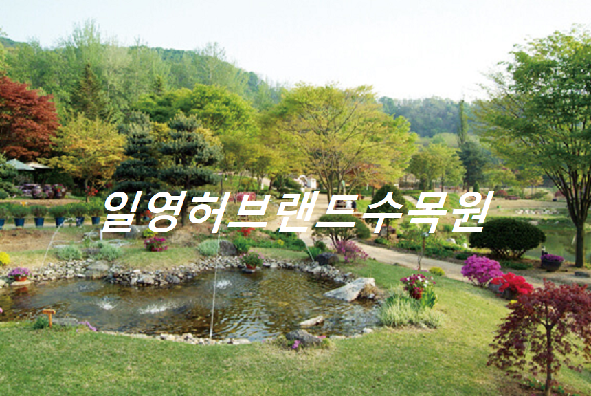 일영허브랜드 대표 여행