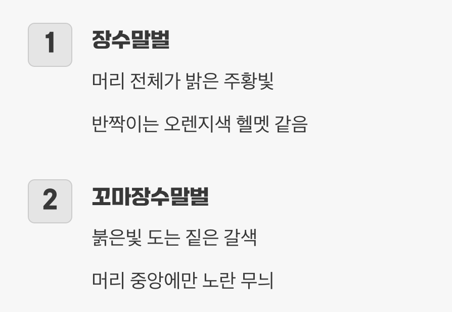 가장 확실한 단서&amp;#44; &amp;#39;머리 색깔&amp;#39;
