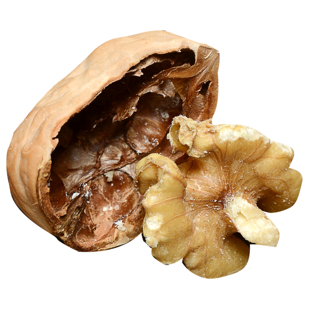 멜라토닌과 관련된 사진입니다.