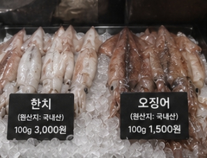 한치와 오징어 차이