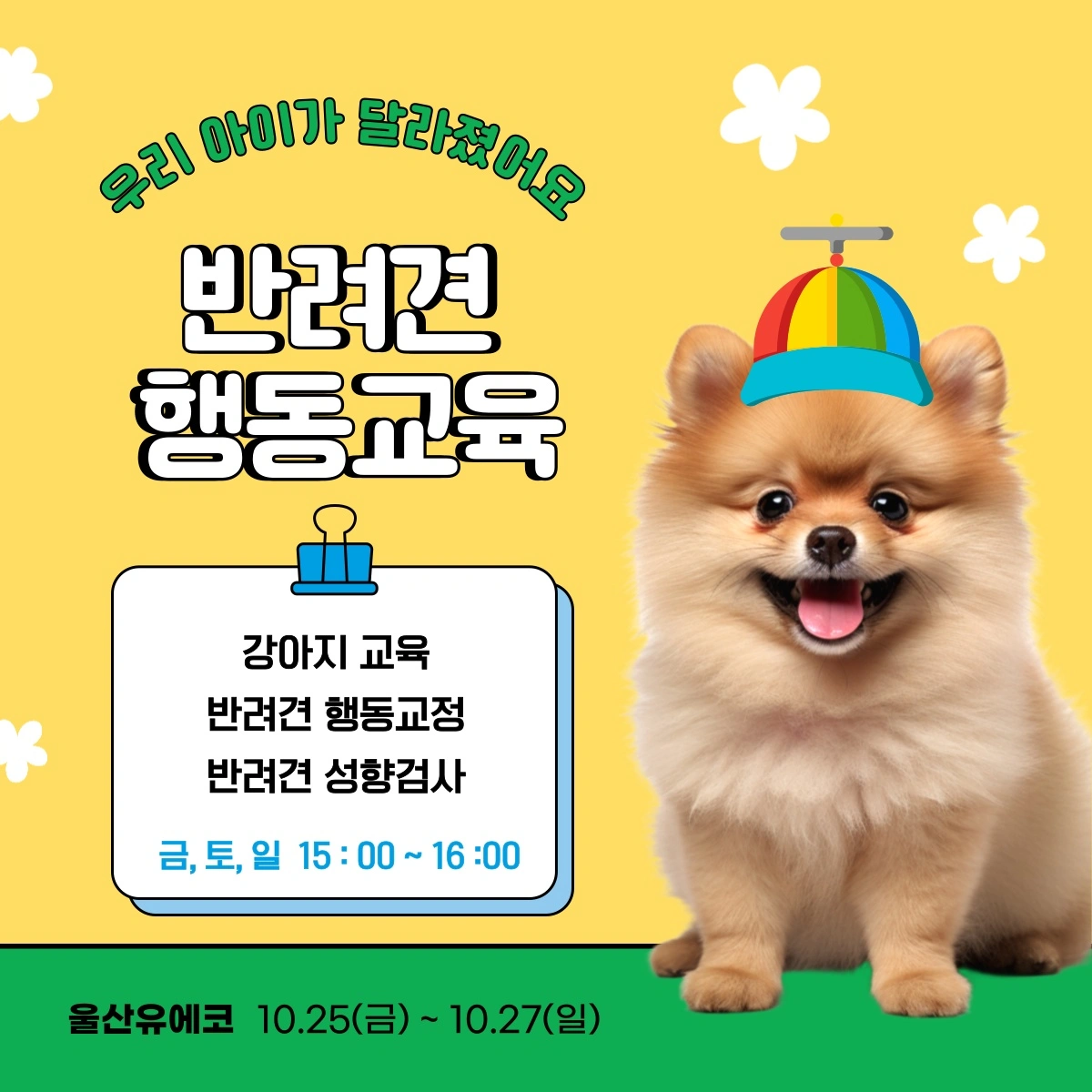 울산전시컨벤션센터 2024 반려동물 박람회 & 펫관광 페스타 소개 축제 행사 일정 시간 부스 배치도 참여 관람 방법