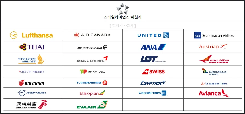 "스타얼라이언스