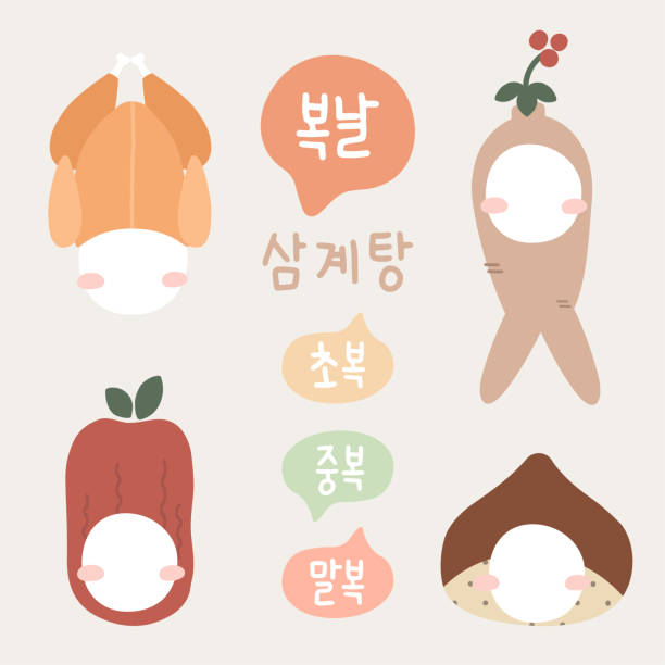 초복삼계탕 재료 완벽 정리 – 집에서 만드는 보양식