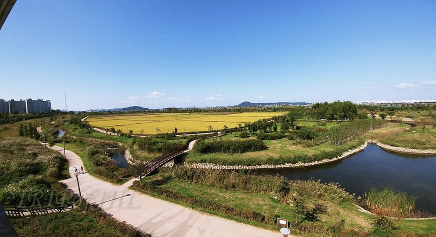 김포한강 야생조류생태공원 이미지