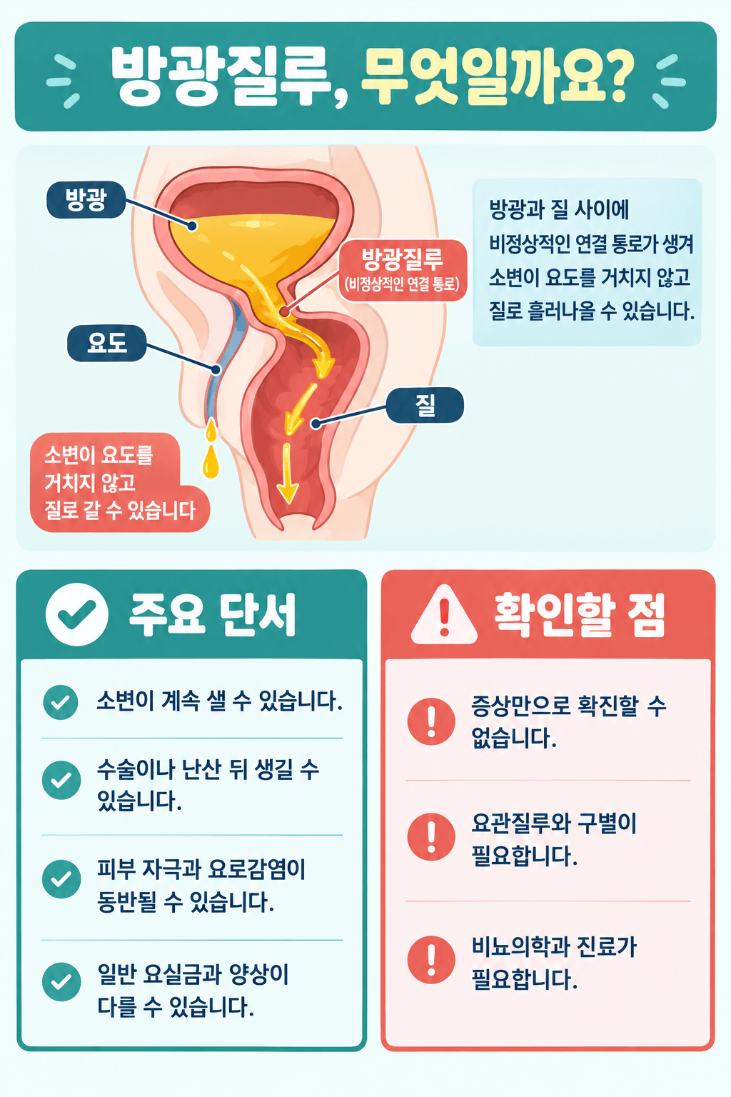 방광질루의 원인과 대표 증상을 한눈에 정리