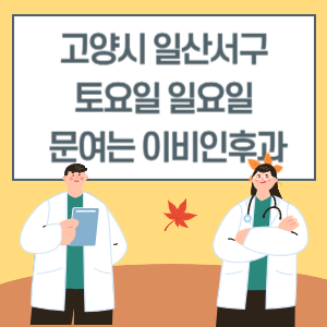 고양시 일산서구 토요일 일요일 이비인후과 진료 문여는 병원 리스트
