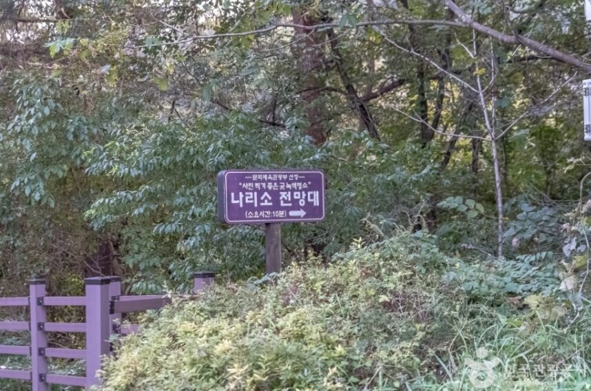 정선 가볼만한곳 베스트 10