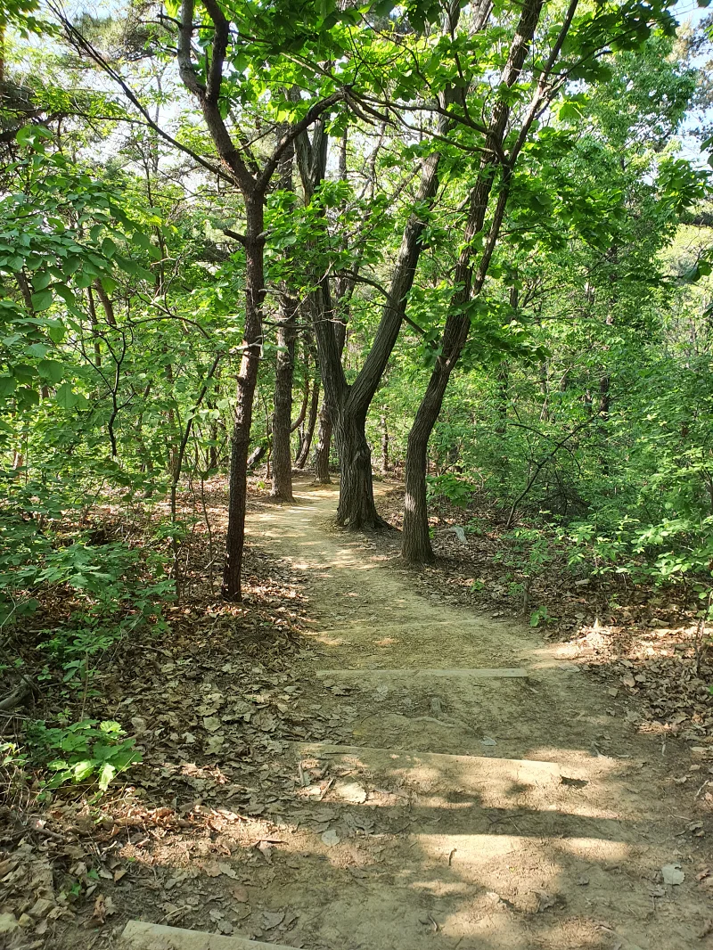 산길